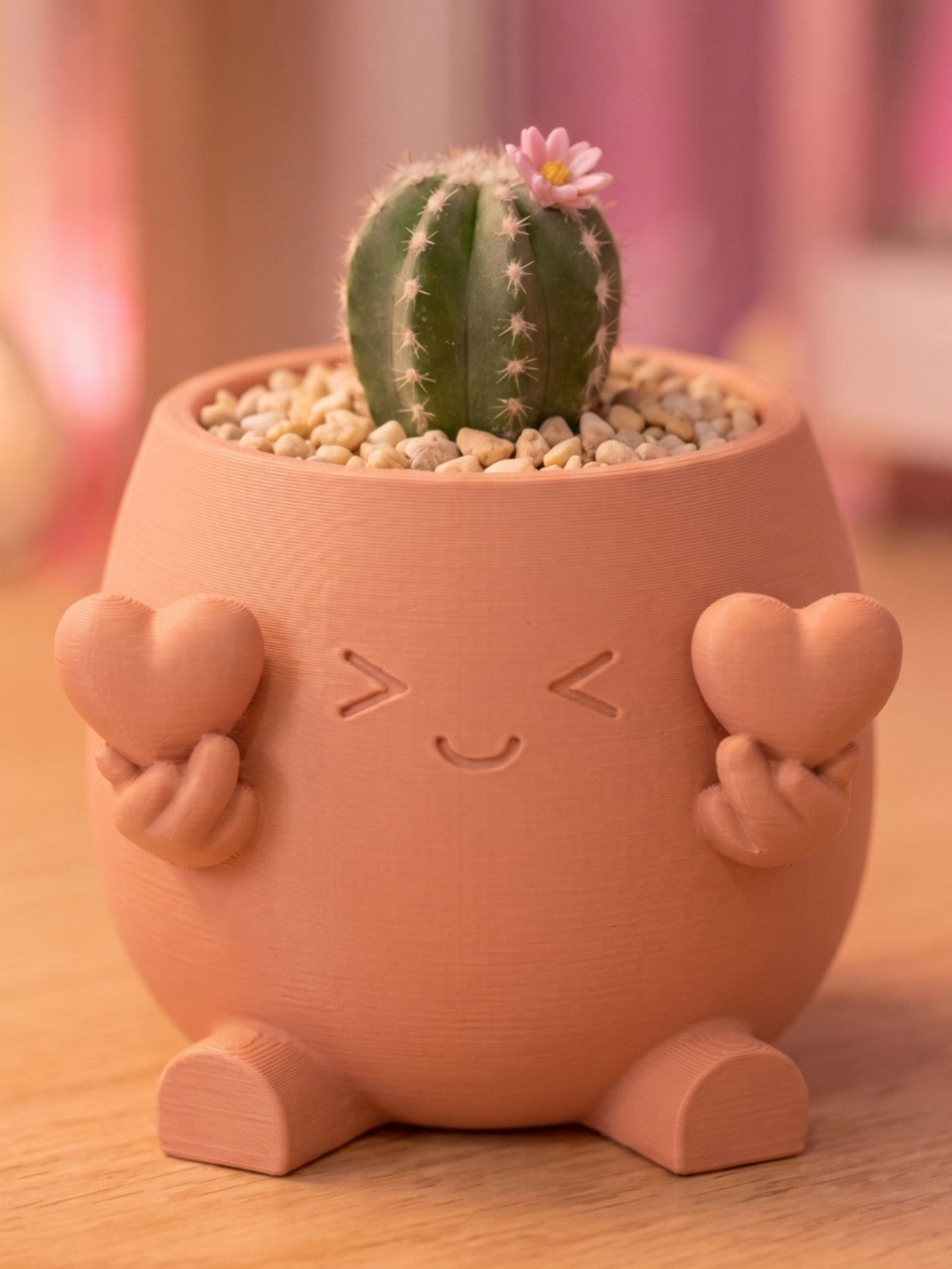 Love Planter