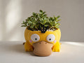 Psyduck Succulent Planter