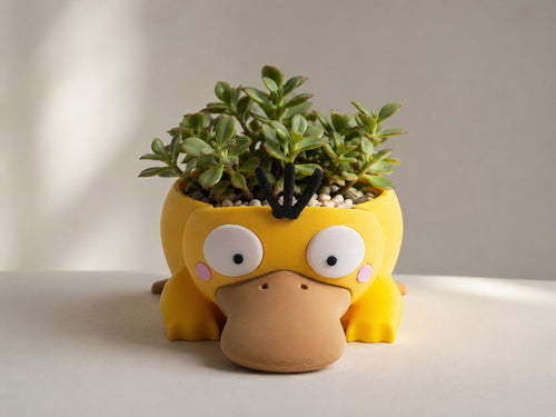 Psyduck Succulent Planter